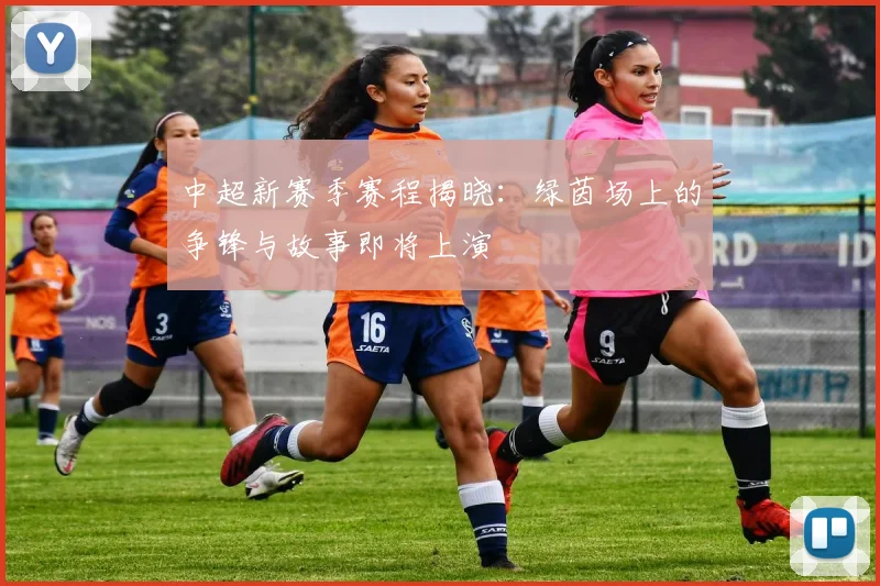 中超新赛季赛程揭晓：绿茵场上的争锋与故事即将上演