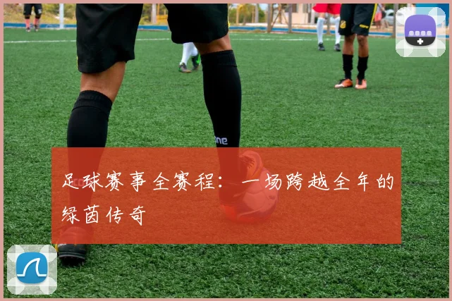 足球赛事全赛程：一场跨越全年的绿茵传奇
